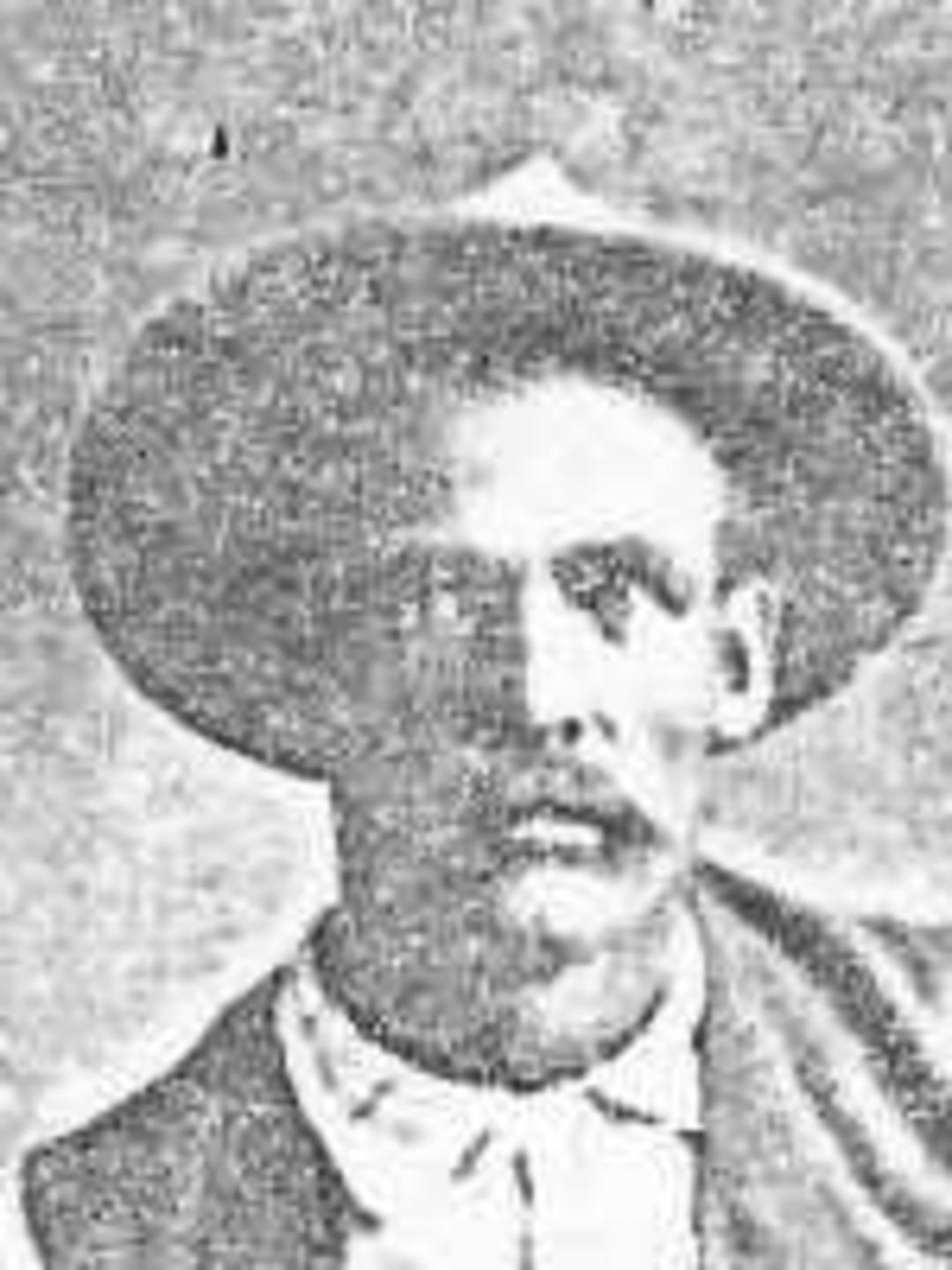 William Walter Cherry (1847 - 1915) Profile